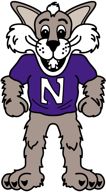 Northwestern Wildcats 1998-Pres Mascot Logo DIY iron on transfer (heat transfer)